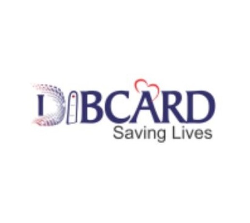 BSA Dibcard