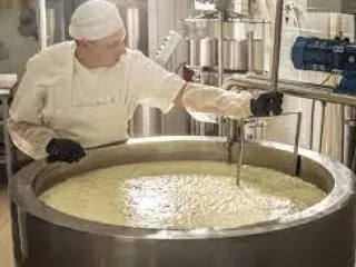 Top Protein Powder Contract Manufacturing Company