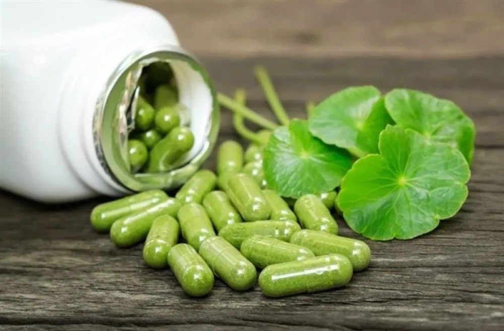 Best Ayurvedic Capsules Third Party Manufacturing Company
