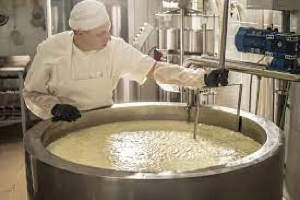 Top Protein Powder Contract Manufacturing Company